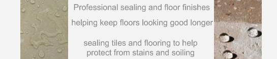 professional hard floor sealing