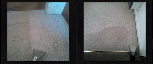 Carpet cleaning using Deepa cleaning method